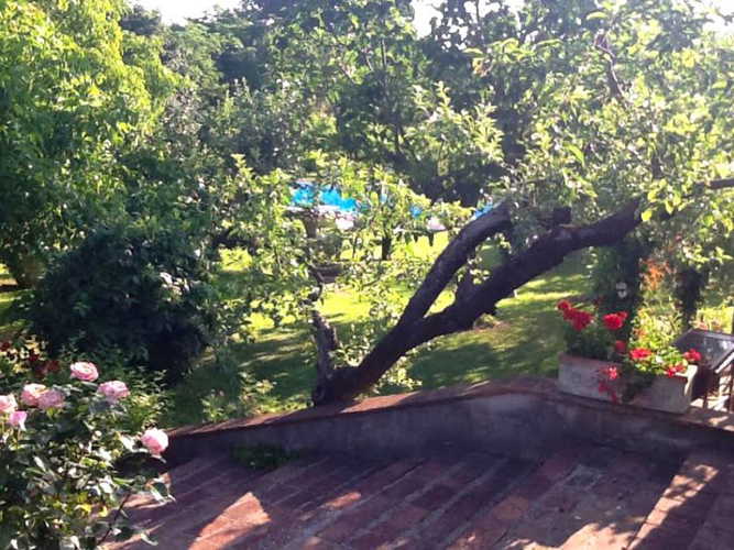 Una vista sul giardino