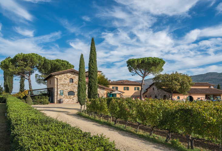 Fattoria Viticcio Rental Apartments & Vineyard: great photo opportunities