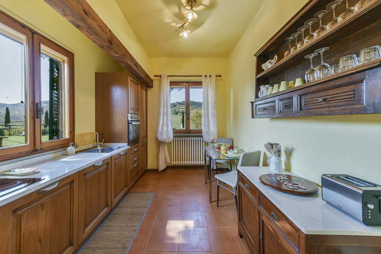 Fattoria Viticcio Rental Apartments & Vineyard: fantastic views from every corner