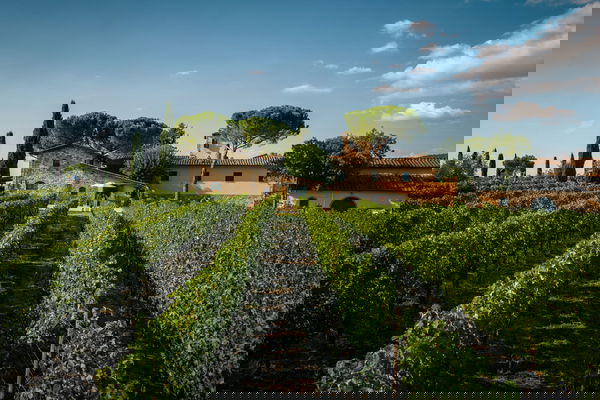 Viticcio - More details