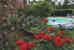 A view of the swimming pool with beautiful flowers