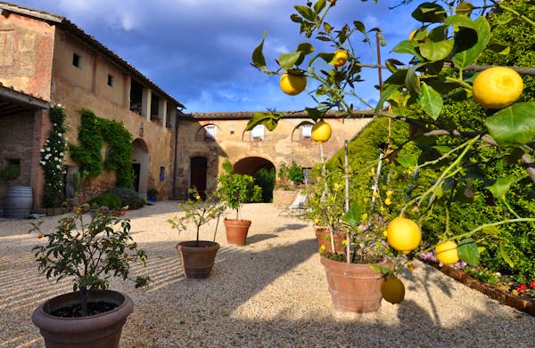 Agriturismo Marciano - More details
