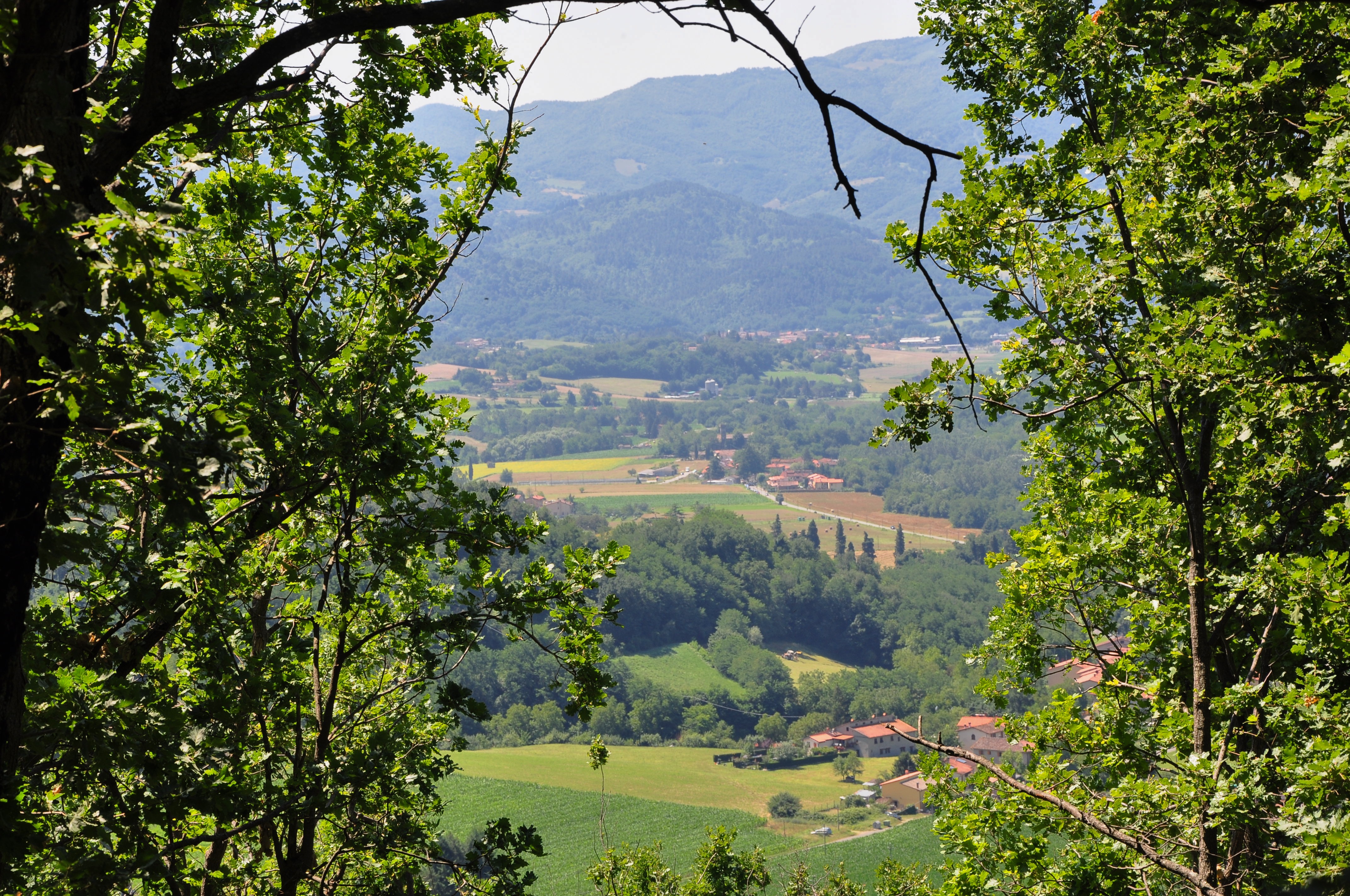 Bed & Breakfast Mugello, B&B Immerso Nella Natura A Vicchio Vicino Firenze