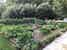BelSentiero Estate & Country House: il giardino delle erbe aromatiche, grazioso e molto curato