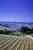 Borgo della Meliana: Agriturismo Gambassi Terme, panorama