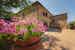 Casa Podere Monti - Tranquil country setting