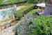 The pool surrounded by the flowers and herbs