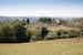 La Canigiana Chianti Holiday Home surrounded by olive groves