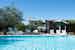 Refreshing swimming pool surrounded by olive trees