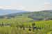 Stunning Tuscan views in every direction at Montrogoli