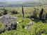 A view of Agriturismo Pancolina from above