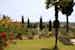 Private green garden and park area at Villa il Poggio